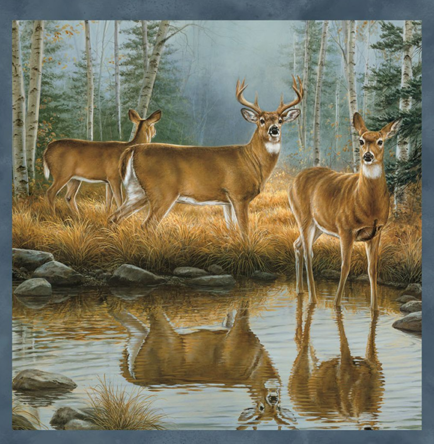 Northcott Naturescapes Deer Blocks Premium Quilting Cotton Fabric