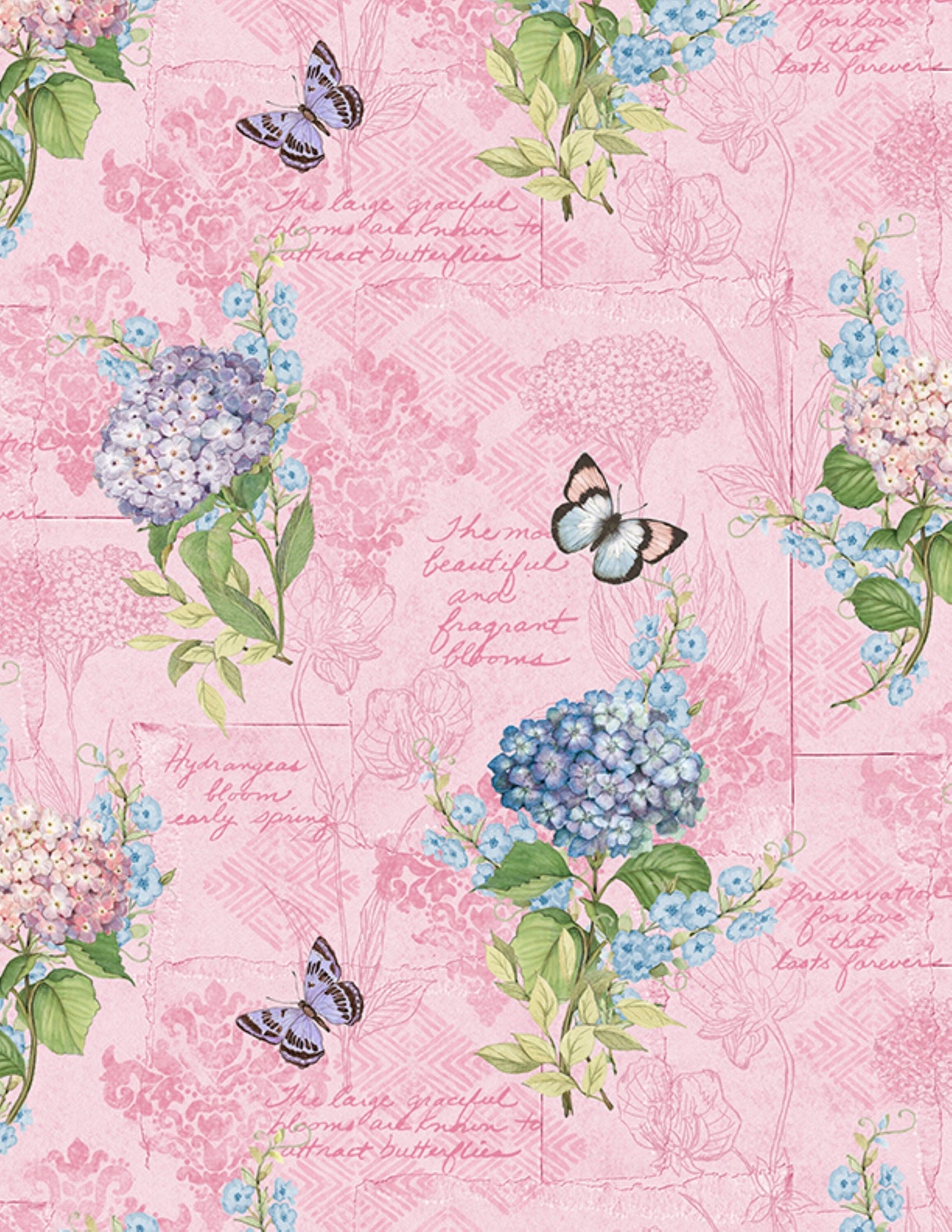 Hydrangea Mist Monograph Pink Cotton Fabric