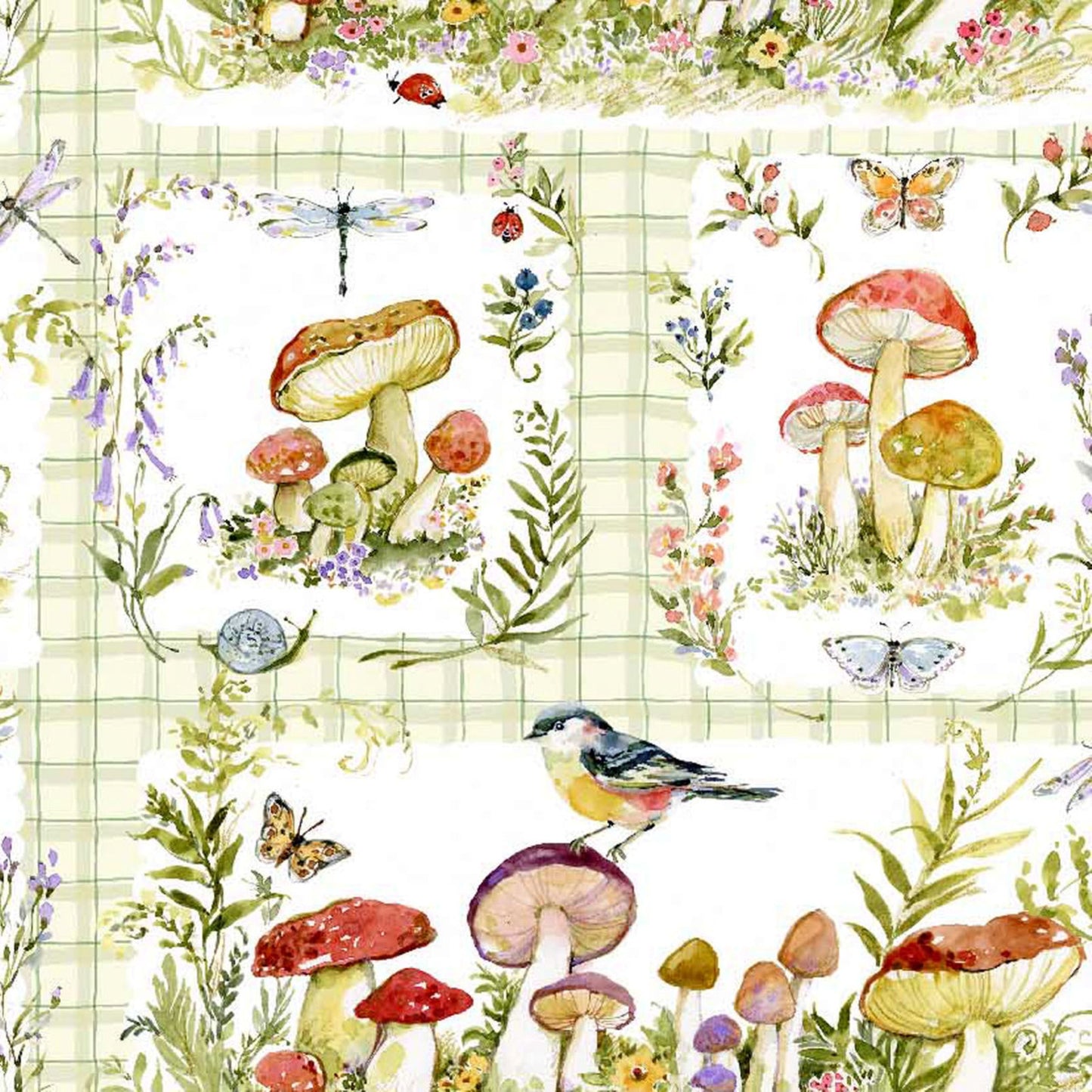 Intriguing Mushrooms | Mushroom Patch - Cotton