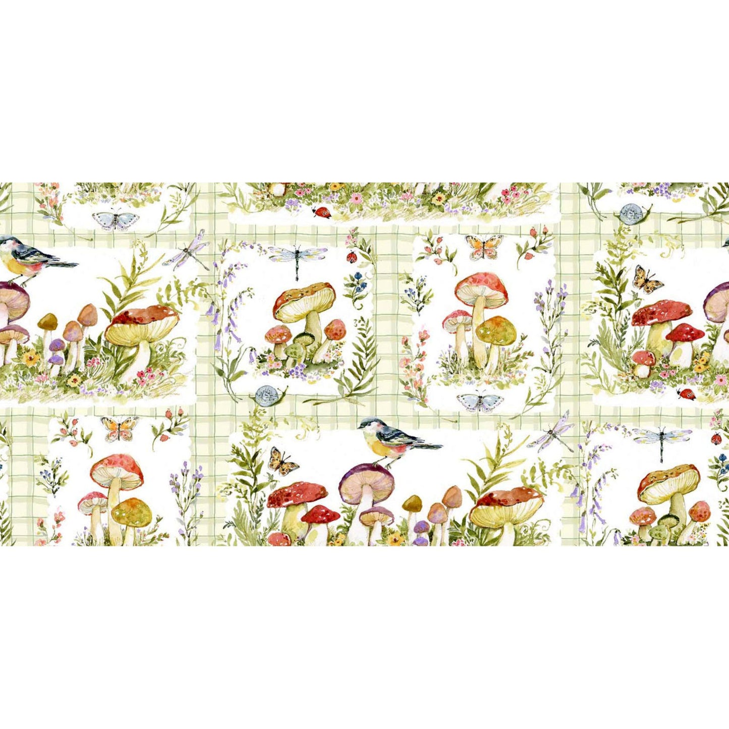 Intriguing Mushrooms | Mushroom Patch - Cotton