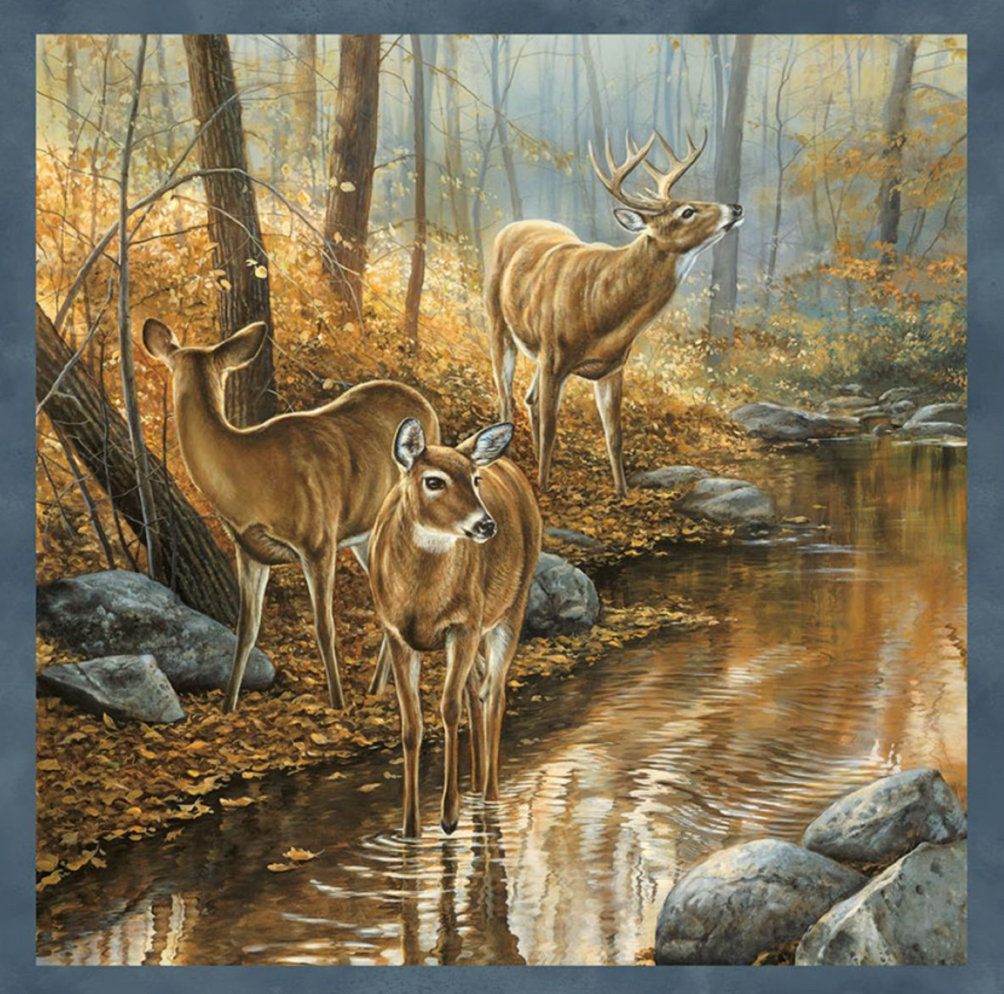 Northcott Naturescapes Deer Blocks Premium Quilting Cotton Fabric