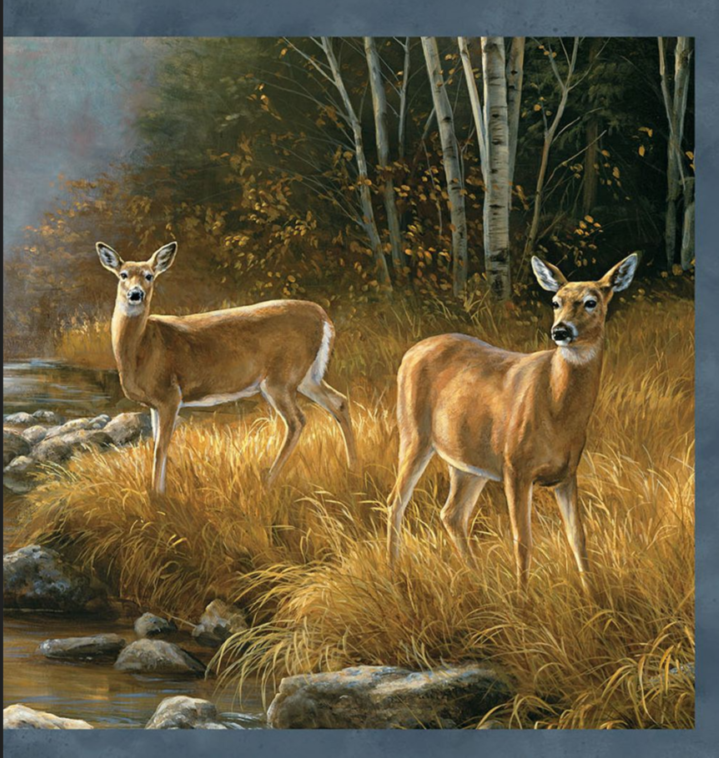 Northcott Naturescapes Deer Blocks Premium Quilting Cotton Fabric