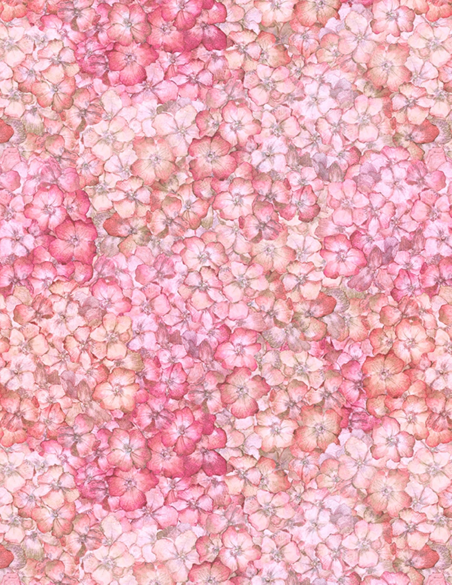 Hydrangea Mist Packed Pink Hydrangeas Cotton Fabric