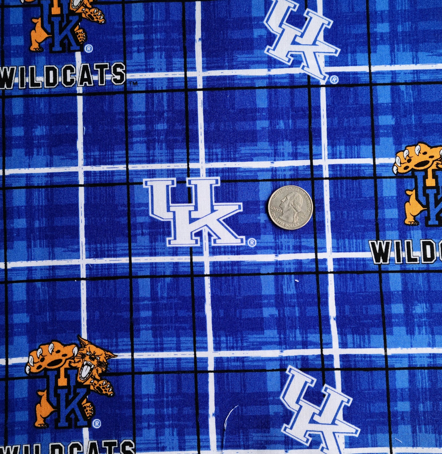 University of Kentucky Wildcats Pre-Cut Cotton Fabric Squares  Pack of 25