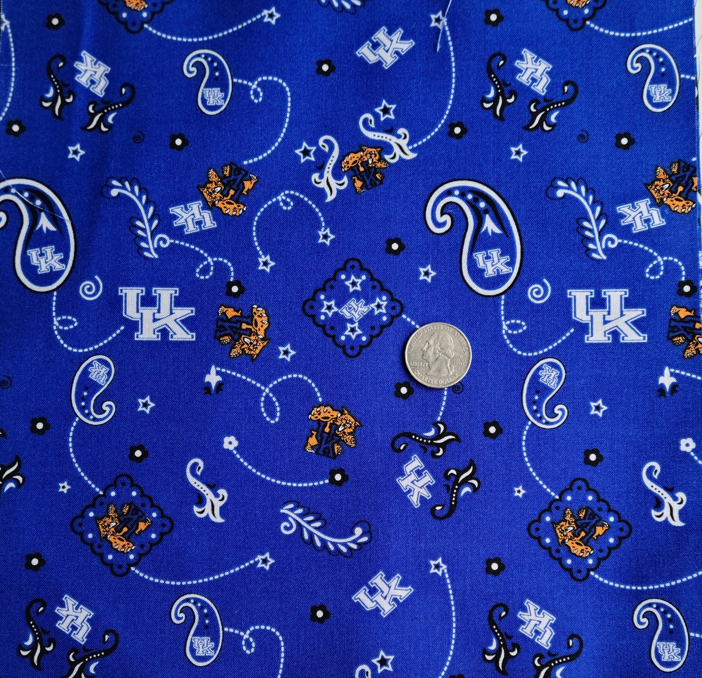 University of Kentucky Wildcats Pre-Cut Cotton Fabric Squares  Pack of 25